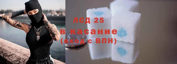 дживик Магас