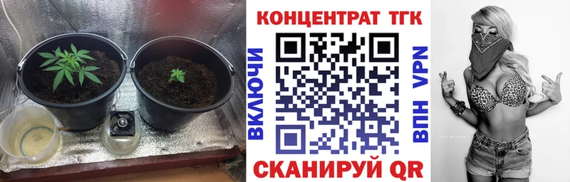 ТГК вейп с тгк  ссылка на мегу маркетплейс  Вышний Волочёк  где продают наркотики 