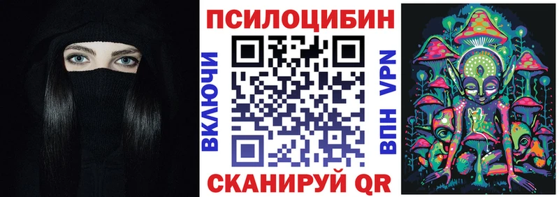 сколько стоит  Вышний Волочёк  Псилоцибиновые грибы MAGIC MUSHROOMS 