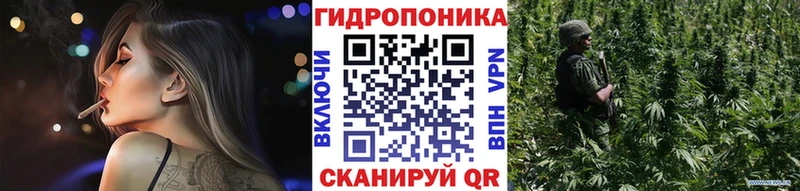 Шишки марихуана сатива  Вышний Волочёк 